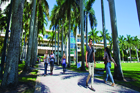 A photo of the front walkway of the Richter Library on the University of Miami Coral Gables campus.